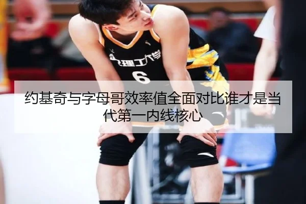 约基奇与字母哥效率值全面对比谁才是当代第一内线核心